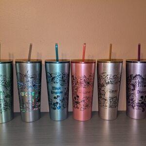 Disney Parks Starbucks stainless steel tumblers